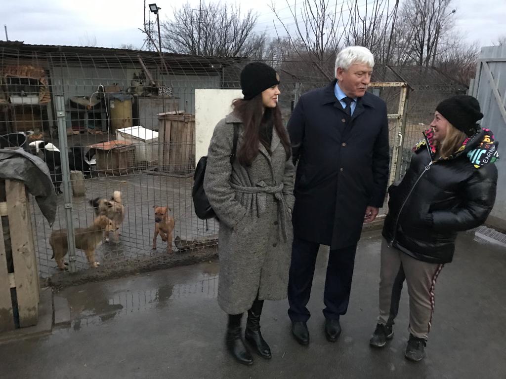 Вячеслав Василенко посетил приют для бездомных животных  в городе Азове